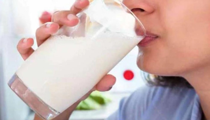 उडीद डाळीच्या सेवनानंतर दूध प्यावं की नाही? जाणून घ्या काय आहे सत्य