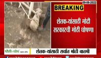 Video | पिकांना हमीभाव मिळाला! मोदी सरकारचा सर्वात मोठा निर्णय 