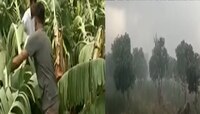 राज्यातल्या काही भागात वादळाचा तडाखा, हिंगोली-मनमाडमध्ये शेतकऱ्यांचं नुकसान
