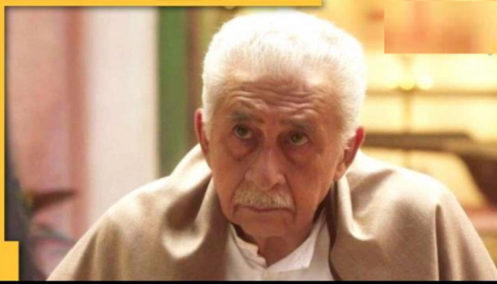'PM Modi या लोकांना समजवा...'; Prophet Muhammad प्रकरणी Naseeruddin Shah यांचा संताप