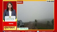 Video | कास पठार पर्यटकांनी फुललं; पाहा धुक्यात दाटलेलं कास पठार 