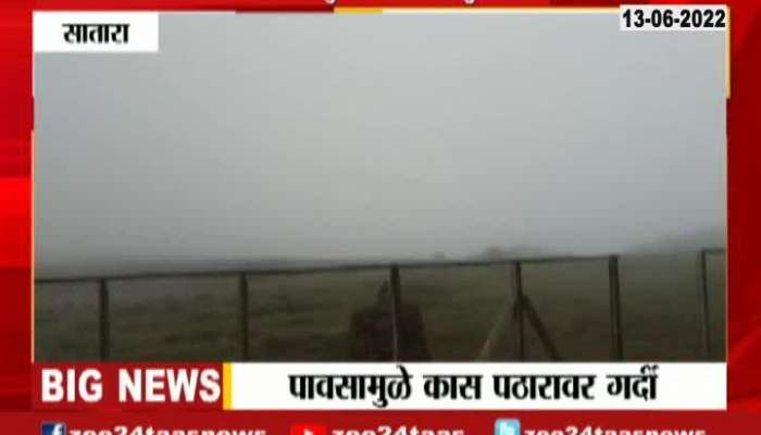  Satara kaas Pathar Climate In Monsoon Season