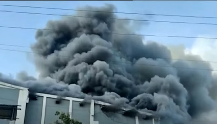 Alibaug PNP Drama Hall Fire : अलिबागमधील पीएनपी नाट्यगृहाला भीषण आग