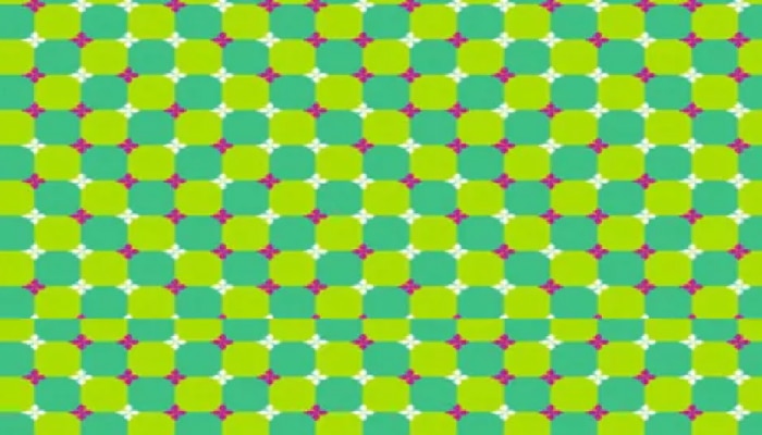 Optical Illusion : भले भले पाहून गोंधळले! फोटो स्थिर आहे की अस्थिर? तुमच्याही डोळ्यांची फसवणूक होतेय?