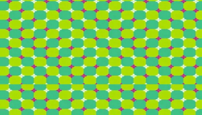 Optical Illusion : भले भले पाहून गोंधळले! फोटो स्थिर आहे की अस्थिर? तुमच्याही डोळ्यांची फसवणूक होतेय?