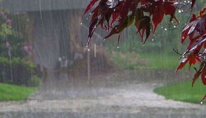 Monsoon in Maharashtra | राज्यभर मान्सूनच्या सरी; बळीराजा सुखावला 