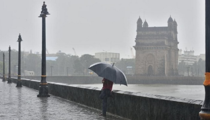 Monsoon Updates : मुंबईसह अर्धा महाराष्ट्र पावसानं ओलाचिंब; राज्यावर काळ्या ढगांची चादर 