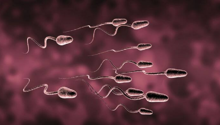Male Fertility : 'या' वयात स्पर्म्स होतात डॅमेज; पुरुषांनो योग्य वयातच बाप होण्याचा विचार करा