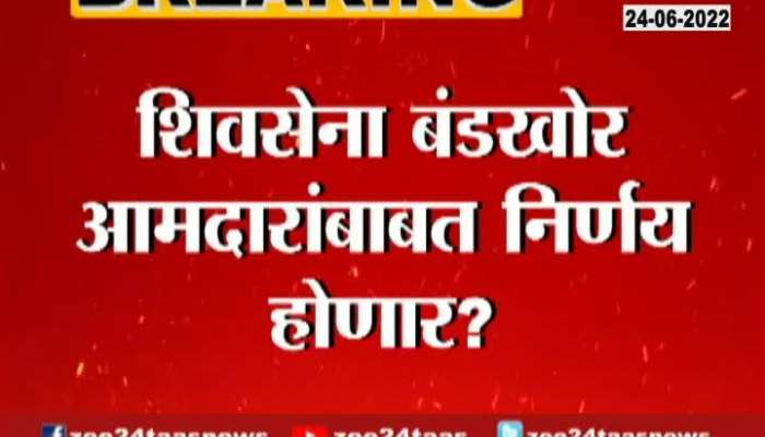 Decision of rebel mla of shivsena 