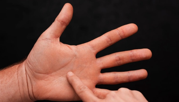 Palmistry: तळाहातावर असलेल्या या रेषा मानल्या जातात अशुभ; जीवनात असतील फक्त समस्या