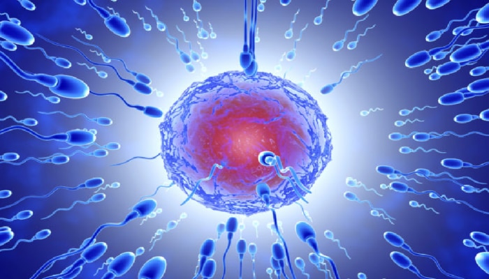 Low Sperm Count: स्पर्म्स काऊंट कमी होण्याची लक्षणं; वेळीच सावध व्हा नाहीतर...