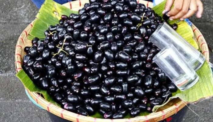 जांभूळ खाण्याचे 'हे' फायदे तुम्हाला माहितीयत का? जाणून घ्या 