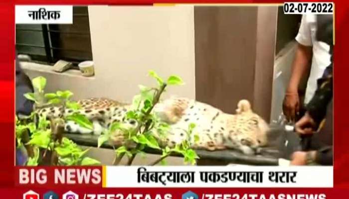 Nashik Leopord rescued at Satpur