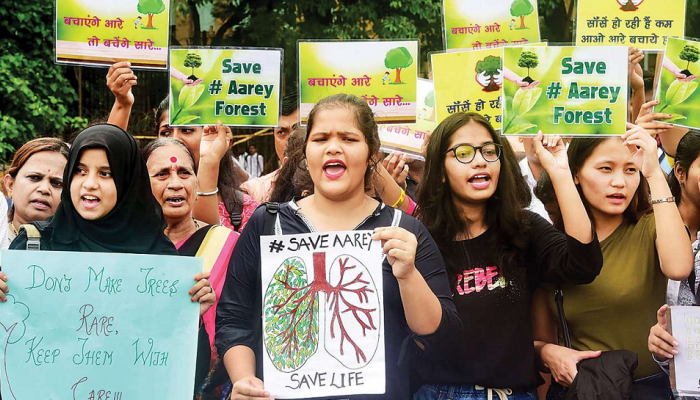 Save Aarey Forest : आरेमध्ये रविवारी पर्यावरण प्रेमीचं आंदोलन