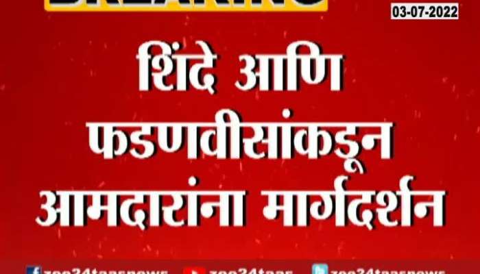 CM Eknath Shinde and DCM Devendra Fadnavis What Said to ShivSena and BJP MLA