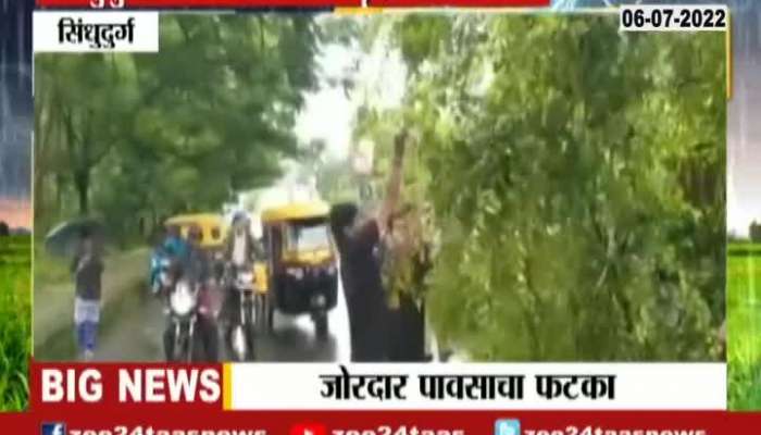 Sindhudurg tree fall near narayan rane house as no casualties reported 