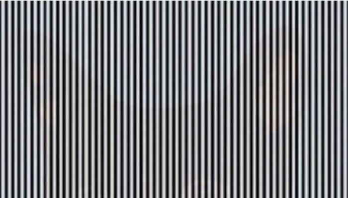 Optical Illusion : काळ्या-पांढऱ्या रेषांमध्ये तुम्हाला नेमकं काय दिसतंय? 99.99 टक्के लोकं चुकलेत!