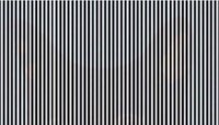 Optical Illusion : काळ्या-पांढऱ्या रेषांमध्ये तुम्हाला नेमकं काय दिसतंय? 