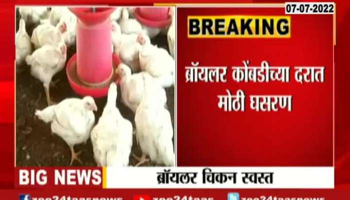 Broiler Chiken Rate Decrease