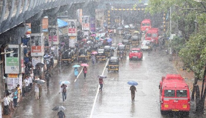 हवामान खात्याचा अलर्ट; &#039;या&#039; जिल्ह्यांमध्ये वाढणार पावसाचा जोर