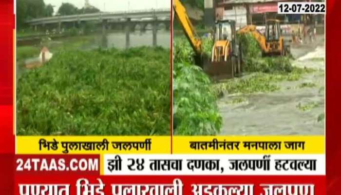 Jalparni removed From Bhide Bridge Water 