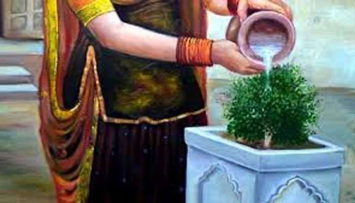 Vastu Tips: तुळशीला जल अर्पण करताना बोला 'हा' मंत्र, हजारपटीने वाढणार सकारात्मक उर्जा, जाणून घ्या