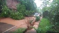 संततधार पावसाने माळशेज घाटात दरड कोसळली, वाहतूक कोंडी