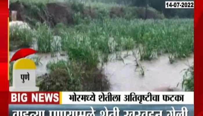 Bhor Farm Affected due to rain 