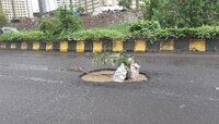 ठाण्यात खड्ड्याचा आणखी एक बळी, प्रशासनाच्या गैरकारभारामुळे बाईकस्वार जीवाला मुकला
