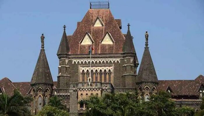 पीओपी मूर्तींबाबत सरकारने तातडीने धोरण आखावं :  मुंबई उच्च न्यायालय