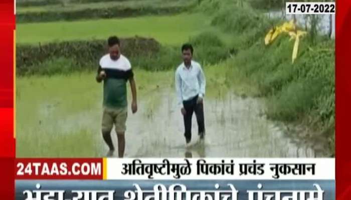 Bhandara- Damage to crops due to heavy rain