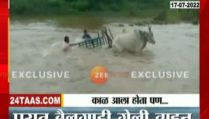 Monsoon News Chandrapur Bullock Cart In Flood Water