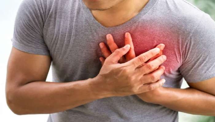 Cholesterol वाढणे शरीरासाठी धोक्याची घंटा, &#039;या&#039; गोष्टींची काळजी घ्या