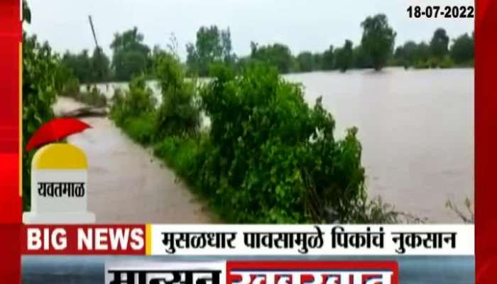 Yavatmal Neer Village Farm And Fields Filled With Flood Water Leads To Crop And Land Damage