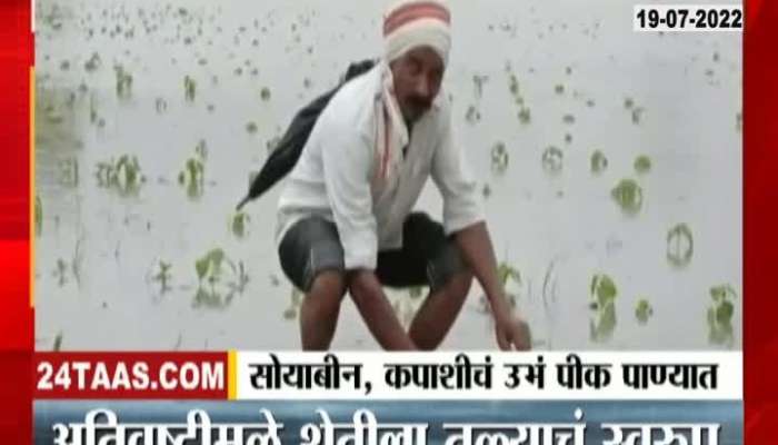Yavatmal Soyabean Seed Loss Due To Heavy Rain