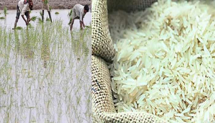 Inflation : बासमती तांदूळ महागला