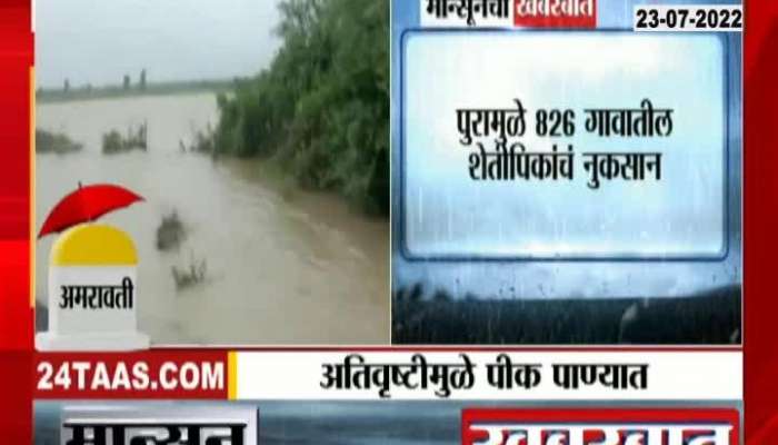 Amravati Crop Loss due to flood 