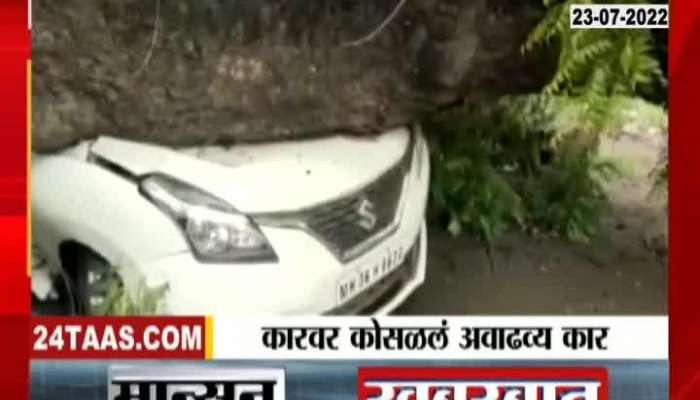 Bhandara Tree Collapsed On Car