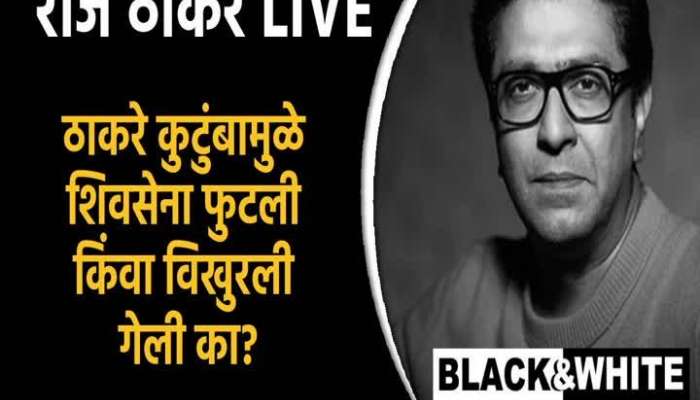 Raj Thackeray On Uddhav Thackeray 