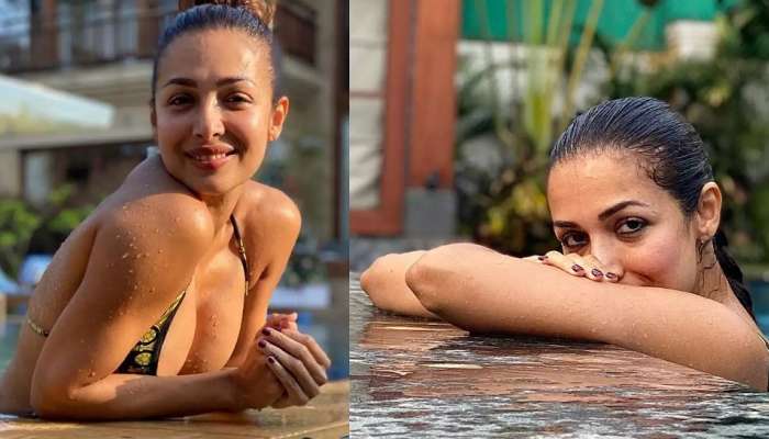 त्यापेक्षा आम्ही आयफोन घेतला असता... मलायकाचा 'हा' ड्रेस पाहून नेटकरी भडकले 