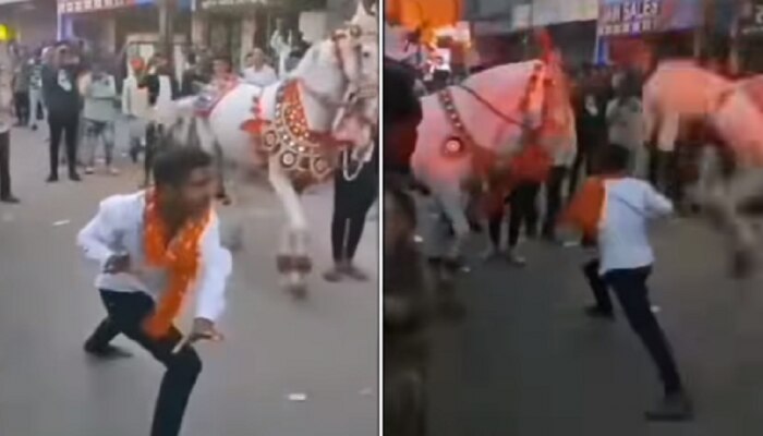 वरातीत या व्यक्तीचा विचित्र डान्स पाहून घोड्याने मारली जोरदार लाथ, Video Viral