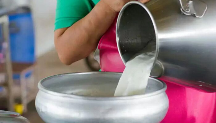 Adulterate Milk : तुम्हीही भेसळयुक्त दूध तर पीत नाही ना? ते कसं ओळखावं, जाणून घ्या