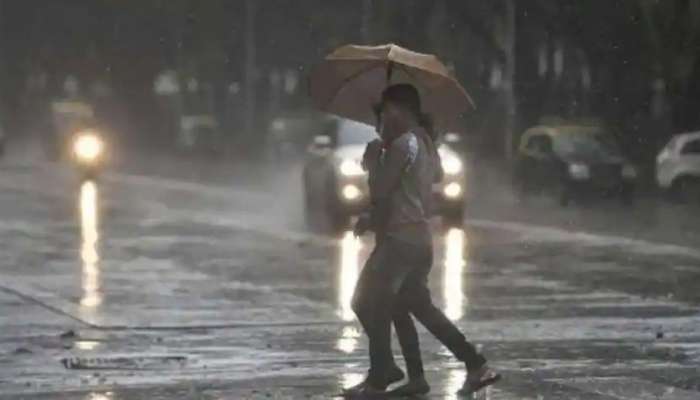 Weather Update | &#039;या&#039; जिल्ह्यांमध्ये पुढचे 24 तास जोरदार कोसळधार