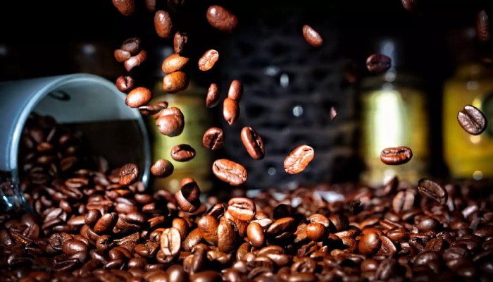 अतिरीक्त कॉफीचं सेवन मुळव्याधाच्या रूग्णांसाठी ठरतं हानिकारक? काय आहे सत्य!