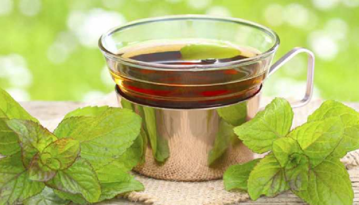 Green tea की Lemon tea ? सकाळी काय पिणं ठरतं फायदेशीर?