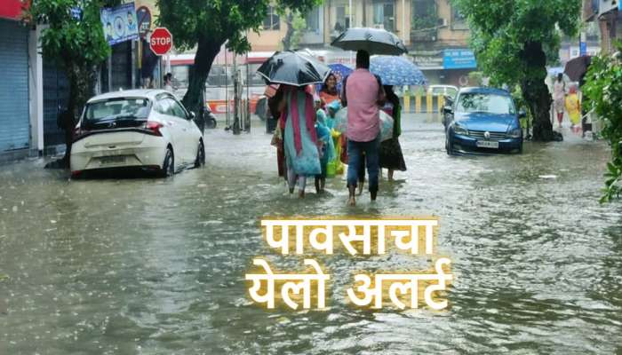 Rain News : राज्यात पुन्हा पाऊस सक्रीय होणार, दोन जिल्ह्यांना यलो अलर्ट