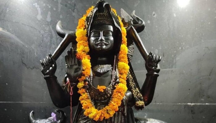 Shani Dev Blessings : उपाय छोटा फायदा मोठा, चुटकीसरशी काम निकाली लागतील, फक्त हे करा