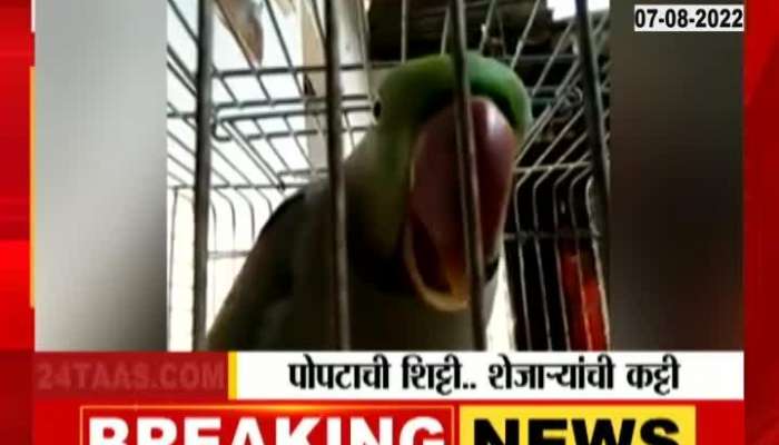 Pune Problematic Parrot has increased owner problems 