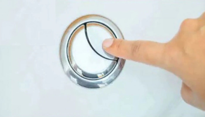 Toilet Flush मध्ये दोन वेगवेगळे बटण का असतात? जाणून घ्या कारण