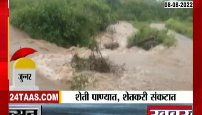 Crops were washed away due to heavy rains in Junnar